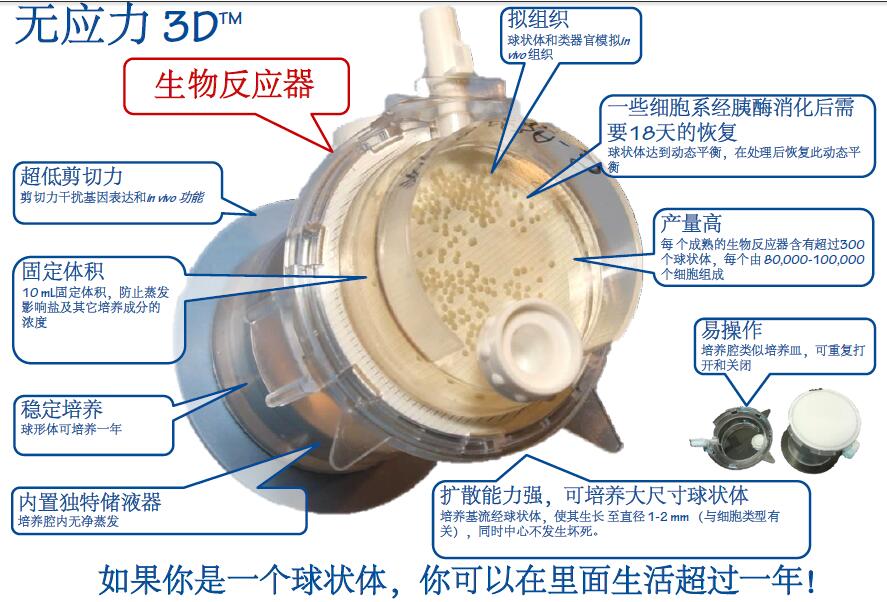 三维微球旋转培养系统