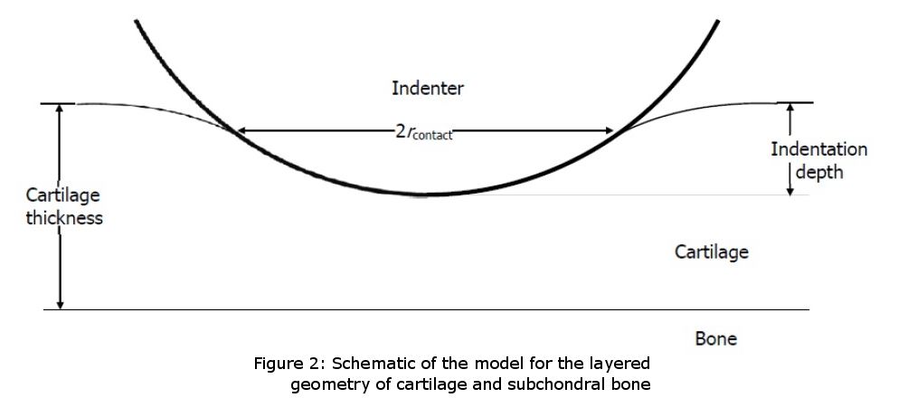 Mach-1 Analysis - Elastic Model in Indentation - Cartilage & Subchondral bone