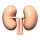 9 kPa_Kidney.png