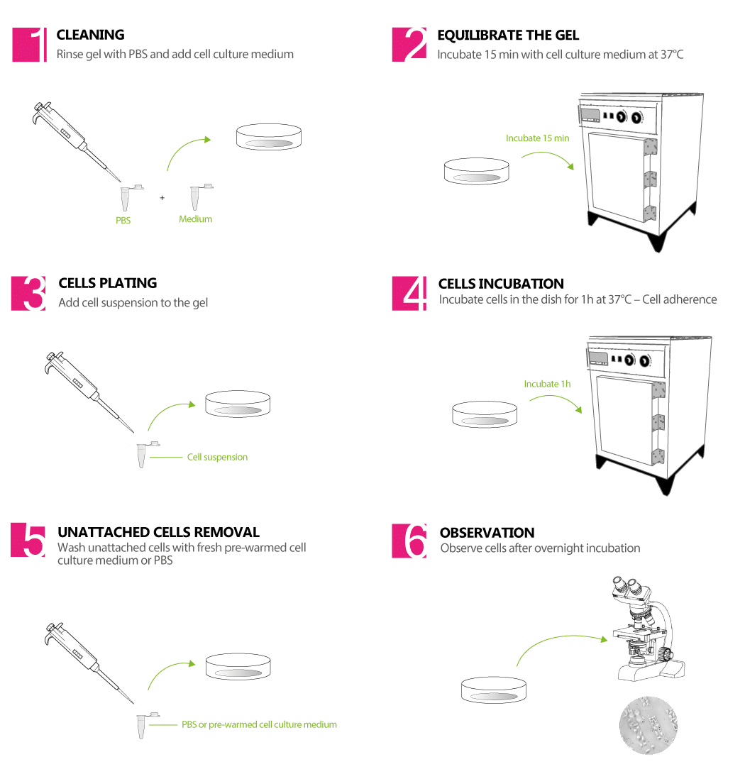 Gels-protocol (1).png