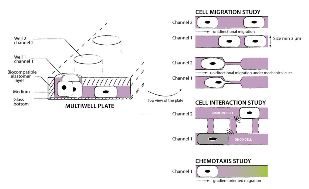 Schma-microcanaux-without-claims-without-FMP-2-1000x613.jpg