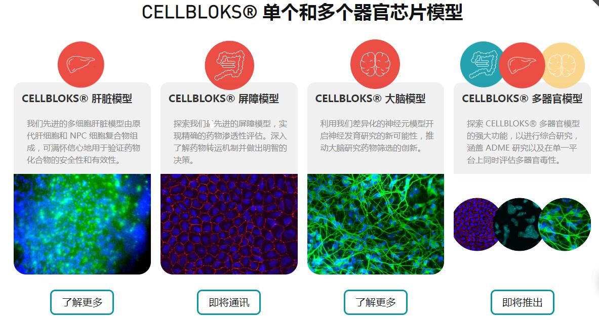 CELLBLOKS? ͶоƬģ.jpg