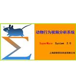 SuperMaze V2.0动物行为视频分析系统