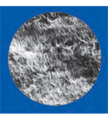 颇尔PALL BSP0161 FluoroTrans®PVDF转移膜