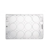 细胞培养板，12 孔,0030721110