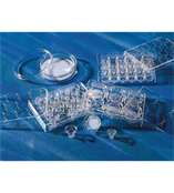 康宁6孔细胞培养小室