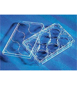 康宁 6孔细胞培养板