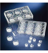 Nunc 灭菌插入式细胞培养皿