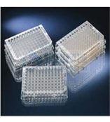 Nunc 96孔细胞培养板167008