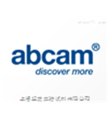 Abcam试剂 抗体 现货促销 AB118162