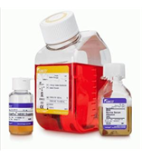 GIBCO 胎牛血清 12676-011 报价-图片-厂家-代理