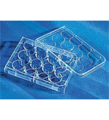 Corning 96孔板 圆底 PVC(聚氯乙烯)材质 无盖 未灭菌 散装 2797