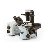 奥林巴斯CKX53倒置显微镜 OLYMPUS相差/三目/荧光