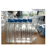 LabServ 75cm2细胞培养瓶 斜颈 密封盖 聚苯乙烯 310109015