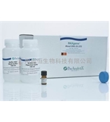 Qiagen761133 PAXgene Blood DNA Kit/Qiagen全血DNA纯化试剂