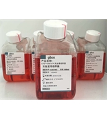 A3021002无血清细胞培养基AIM-V® CTS™ AIM-V® CTS™