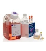 Gibco LV-MAX 慢病毒生产体系