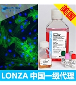 LONZA人原代支气管平滑肌细胞