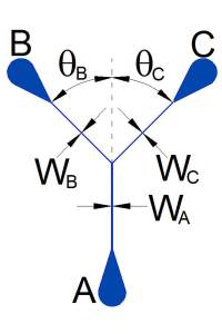 IMN1-BC