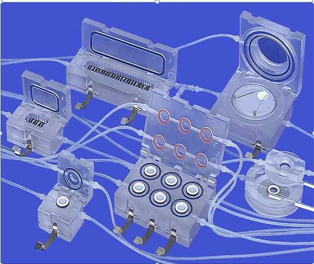 ����Quasi-vivo���Գ���(����4��)�����ע��������ϵͳ