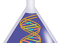 dna-154743__340.jpg