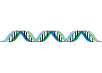 dna-148807__340.jpg