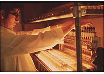 1541824417658945.jpeg dagfdh.jpg