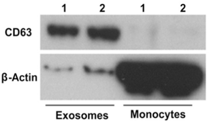 1617175658981686.png 8.1.png