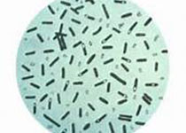 1623214117951362.jpeg afagrf.jpg